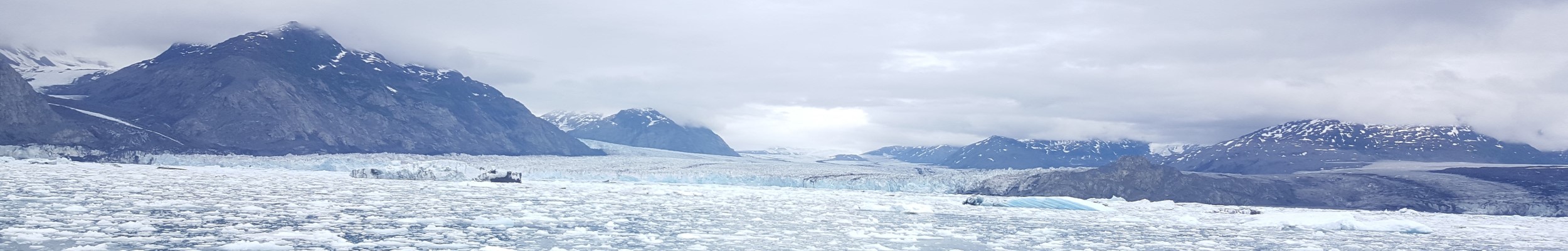 International Arctic Research Center
